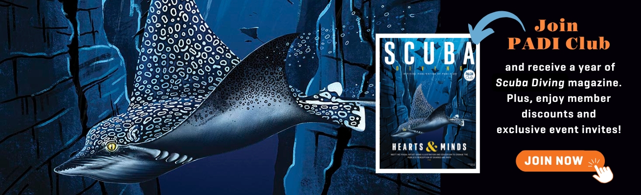 image of eagle ray illustration and text encouraging joining padi club
